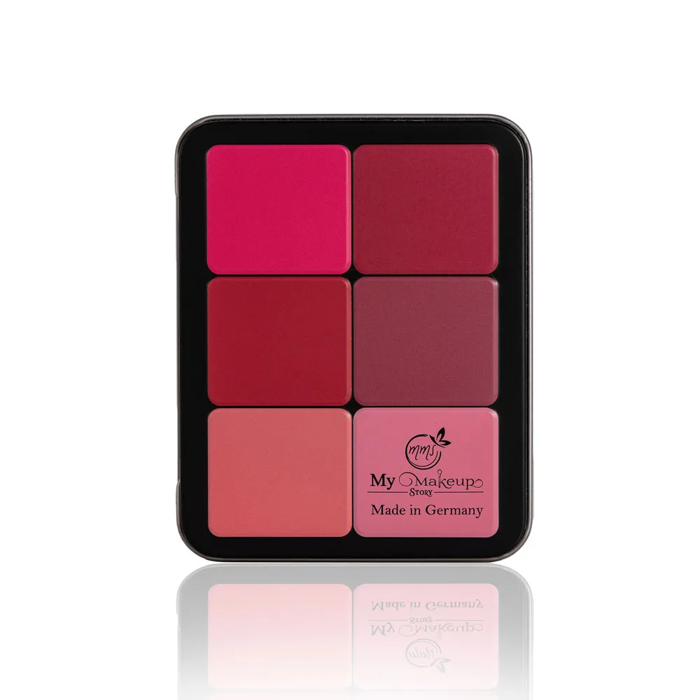 پالت رژلب رژگونه هایلایتر ۱۲ رنگ برند مای میکاپ استوری